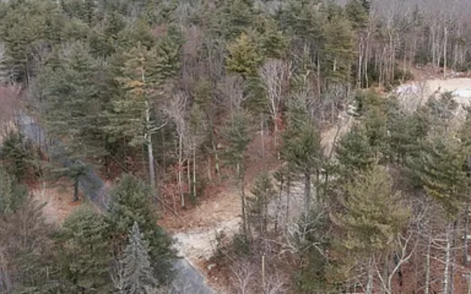 9168f69a01be0a28cacd999e621f12f5-cc_ft_384