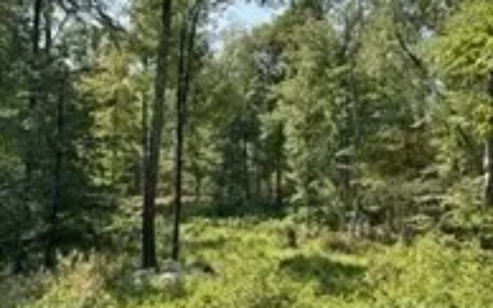 b9ac53decc9242fbd4624b5f7c8a8ad6l-m1699705108rd-w1280_h960