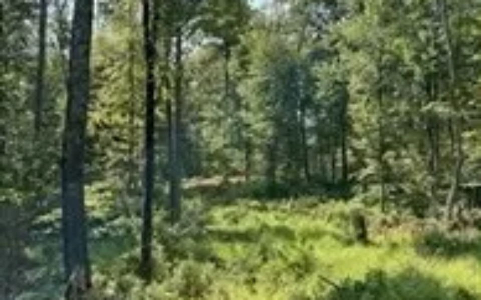 b9ac53decc9242fbd4624b5f7c8a8ad6l-m2995142836rd-w1280_h960