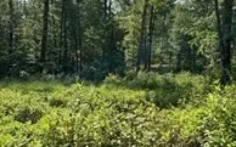 b9ac53decc9242fbd4624b5f7c8a8ad6l-m3916054151rd-w1280_h960