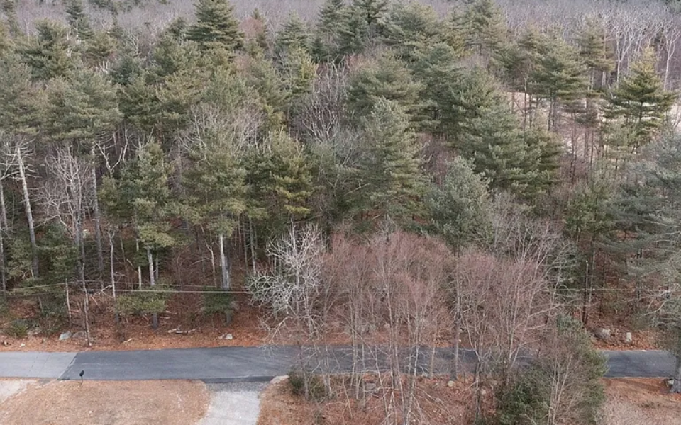 be1b557ea4c10c1ddb36755dce07d689-cc_ft_768